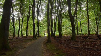 <i class='fa fa-user'></i> kooyammers | Speulderbos  <i class='fa fa-eye'> 61</i>  <i class='fa fa-thumbs-up'> 2</i>   <i class='fa fa-comment-o'> 2</i>