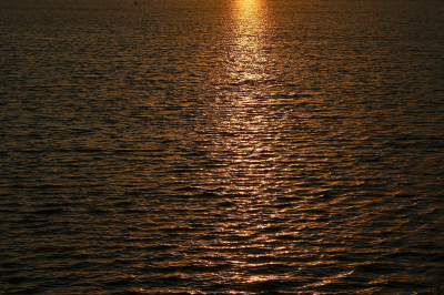 <i class='fa fa-user'></i> frbeuming |  Schittering bij zonsondergang  <i class='fa fa-eye'> 39</i>  <i class='fa fa-thumbs-up'> 2</i>   <i class='fa fa-comment-o'> 1</i>