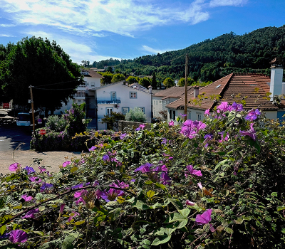 onderweg even parkeren om een oud dorpje in te lopen op. een laatste plaatsje aan de rand van het dorp te midden van de purperwinde.