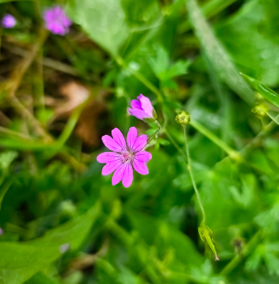 <i class='fa fa-user'></i>&nbsp;guidomwm&nbsp;|  Bermooievaarsbek&nbsp; <i class='fa fa-eye'>&nbsp;37</i> &nbsp; <i class='fa fa-comment-o'>&nbsp;3</i>