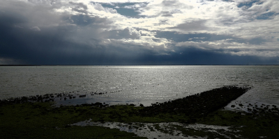 <i class='fa fa-user'></i>&nbsp;B.M.Schouten-Ruis&nbsp;|  Oosterschelde&nbsp; <i class='fa fa-eye'>&nbsp;30</i> &nbsp; <i class='fa fa-comment-o'>&nbsp;1</i>