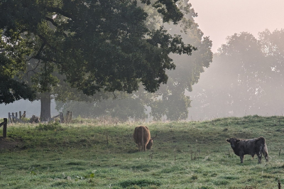 xxxxxxxxxxxxxxxxxxxxxxxxxxxxxxxxxxxxxxxxxxxxxxxxxxxxxxxxxxxxxxxxxxxxxxxxxxxxxxxxxxxxxxxxxxxxxxxxxxxxxxxxxxxxxxxxxxxxxxxxxxxxxxxxxxxxxxxxxxxxxxxxxxxxxxxxxxxxxxxxxxxxxxxxxxxxxxxxxxxxxxxxxxxxxxxx