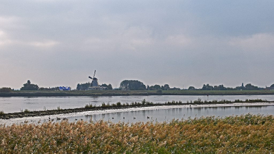 <i class='fa fa-user'></i>&nbsp;kooyammers&nbsp;|  De Lek bij Bergambacht&nbsp; <i class='fa fa-eye'>&nbsp;71</i> &nbsp; <i class='fa fa-comment-o'>&nbsp;4</i>