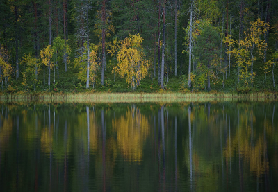 <i class='fa fa-user'></i>&nbsp;Jurgen Maassen&nbsp;|  Reflecties&nbsp; <i class='fa fa-eye'>&nbsp;83</i> &nbsp;<i class='fa fa-thumbs-up'>&nbsp;5</i> &nbsp; <i class='fa fa-comment-o'>&nbsp;7</i>