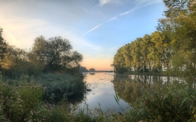 <i class='fa fa-user'></i> boerke |  Biesbosch  <i class='fa fa-eye'> 52</i>  <i class='fa fa-thumbs-up'> 4</i>   <i class='fa fa-comment-o'> 3</i>