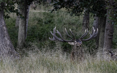 <i class='fa fa-user'></i> David | Edelhert  <i class='fa fa-eye'> 90</i>   <i class='fa fa-comment-o'> 1</i>