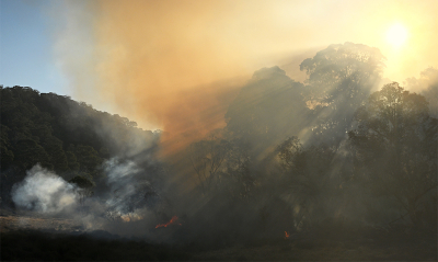 <i class='fa fa-user'></i>&nbsp;Eric Gibcus&nbsp;|  Vuur&nbsp; <i class='fa fa-eye'>&nbsp;80</i> &nbsp;<i class='fa fa-thumbs-up'>&nbsp;1</i> &nbsp; <i class='fa fa-comment-o'>&nbsp;2</i>