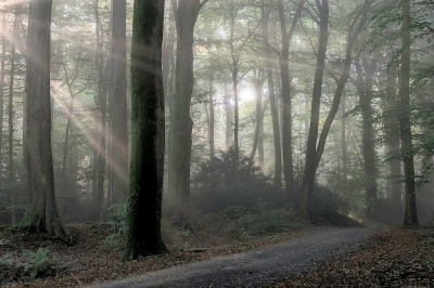 <i class='fa fa-user'></i>&nbsp;boerke&nbsp;|  Zonneharpen&nbsp; <i class='fa fa-eye'>&nbsp;72</i> &nbsp;<i class='fa fa-thumbs-up'>&nbsp;6</i> &nbsp; <i class='fa fa-comment-o'>&nbsp;5</i>