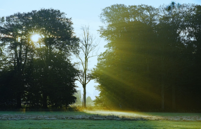 <i class='fa fa-user'></i> hesterb | Vroeg zonlicht  <i class='fa fa-eye'> 60</i>   <i class='fa fa-comment-o'> 1</i>