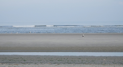 <i class='fa fa-user'></i>&nbsp;Ben Aalders&nbsp;|  Noordzeestrand&nbsp; <i class='fa fa-eye'>&nbsp;73</i> &nbsp;<i class='fa fa-thumbs-up'>&nbsp;1</i> &nbsp; <i class='fa fa-comment-o'>&nbsp;2</i>