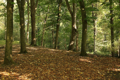 <i class='fa fa-user'></i>&nbsp;frbeuming&nbsp;|  Landschap&nbsp; <i class='fa fa-eye'>&nbsp;59</i> &nbsp;<i class='fa fa-thumbs-up'>&nbsp;1</i> &nbsp; <i class='fa fa-comment-o'>&nbsp;1</i>