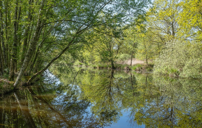 <i class='fa fa-user'></i>&nbsp;Tim Oord&nbsp;|  Voorjaar in Veengebied&nbsp; <i class='fa fa-eye'>&nbsp;60</i> &nbsp; <i class='fa fa-comment-o'>&nbsp;2</i>