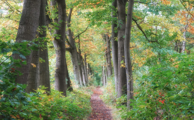 <i class='fa fa-user'></i>&nbsp;nelappelmelk&nbsp;|  Beginnende herfstkleuren&nbsp; <i class='fa fa-eye'>&nbsp;77</i> &nbsp;<i class='fa fa-thumbs-up'>&nbsp;2</i> &nbsp; <i class='fa fa-comment-o'>&nbsp;2</i>