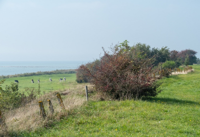 <i class='fa fa-user'></i>&nbsp;Tim Oord&nbsp;|  Het Rode Klif&nbsp; <i class='fa fa-eye'>&nbsp;54</i> &nbsp; <i class='fa fa-comment-o'>&nbsp;2</i>