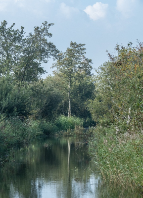 <i class='fa fa-user'></i>&nbsp;Tim Oord&nbsp;|  Berk&nbsp; <i class='fa fa-eye'>&nbsp;46</i> &nbsp; <i class='fa fa-comment-o'>&nbsp;2</i>