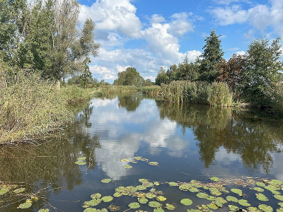 <i class='fa fa-user'></i>&nbsp;B.M.Schouten-Ruis&nbsp;|  Landschap Hitland&nbsp; <i class='fa fa-eye'>&nbsp;56</i> &nbsp;<i class='fa fa-thumbs-up'>&nbsp;3</i> &nbsp; <i class='fa fa-comment-o'>&nbsp;0</i>