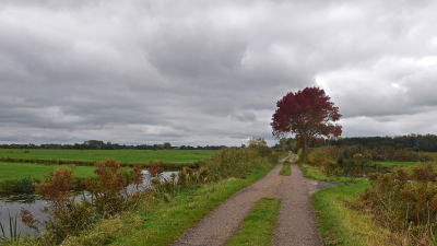 <i class='fa fa-user'></i>&nbsp;kooyammers&nbsp;|  Kadijk Herfst 1&nbsp; <i class='fa fa-eye'>&nbsp;55</i> &nbsp;<i class='fa fa-thumbs-up'>&nbsp;2</i> &nbsp; <i class='fa fa-comment-o'>&nbsp;3</i>