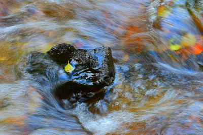 <i class='fa fa-user'></i> Bert Veerman | Snelheid  <i class='fa fa-eye'> 63</i>  <i class='fa fa-thumbs-up'> 6</i>   <i class='fa fa-comment-o'> 4</i>