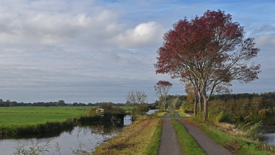 <i class='fa fa-user'></i> kooyammers |  Herfst langs de Kadijk 1  <i class='fa fa-eye'> 43</i>  <i class='fa fa-thumbs-up'> 2</i>   <i class='fa fa-comment-o'> 4</i>