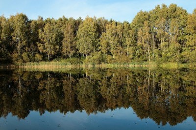 <i class='fa fa-user'></i> frbeuming |  Beersterplas  <i class='fa fa-eye'> 27</i>   <i class='fa fa-comment-o'> 0</i>