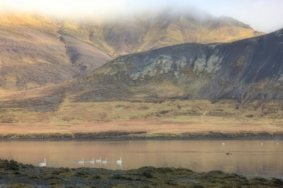 xxxxxxxxxxxxxxxxxxxxxxxxxxxxxxxxxxxxxxxxxxxxxxxxxxxxxxxxxxxxxxxxxxxxxxxxxxxxxxxxxxxxxxxxxxxxxxxxxxxxxxxxxxxxxxxxxxxxxxxxxxxxxxxxxxxxxxxxxxxxxxxxxxxxxx