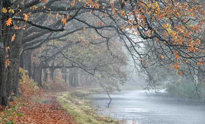 Nature picture: 2.  / Herfst