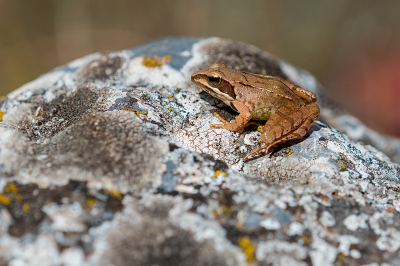 p pp ooo iii uuu oooooooooo ppppppppp uuuuuuuuuuuu yyyyyyyyyyy tttttttttt