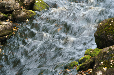 <i class='fa fa-user'></i> Jurgen Maassen | Water  <i class='fa fa-eye'> 35</i>  <i class='fa fa-thumbs-up'> 1</i>   <i class='fa fa-comment-o'> 0</i>