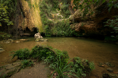 <i class='fa fa-user'></i> Willem Verhagen |  Kalamaris  <i class='fa fa-eye'> 69</i>   <i class='fa fa-comment-o'> 3</i>