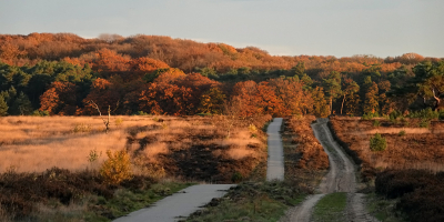 <i class='fa fa-user'></i> nelappelmelk |  Herfstkleuren  <i class='fa fa-eye'> 8</i>   <i class='fa fa-comment-o'> 0</i>