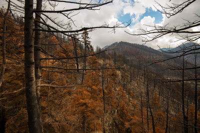 <i class='fa fa-user'></i> Willem Verhagen |  Dystopisch landschap  <i class='fa fa-eye'> 52</i>   <i class='fa fa-comment-o'> 4</i>