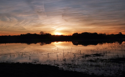 <i class='fa fa-user'></i> nelappelmelk |  Zonsopgang  <i class='fa fa-eye'> 41</i>  <i class='fa fa-thumbs-up'> 1</i>   <i class='fa fa-comment-o'> 5</i>