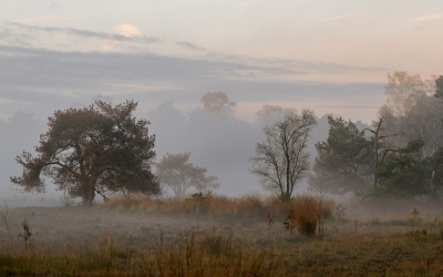 <i class='fa fa-user'></i> Pieter  LJ |  Herfstsfeer in het bos  <i class='fa fa-eye'> 61</i>  <i class='fa fa-thumbs-up'> 3</i>   <i class='fa fa-comment-o'> 3</i>