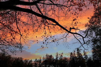 <i class='fa fa-user'></i> Nel R |  Avondrood  <i class='fa fa-eye'> 52</i>  <i class='fa fa-thumbs-up'> 2</i>   <i class='fa fa-comment-o'> 5</i>