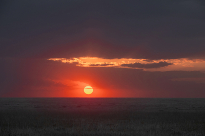 <i class='fa fa-user'></i> JeroenAsilia |  Afrikaans Landschap  <i class='fa fa-eye'> 30</i>   <i class='fa fa-comment-o'> 1</i>