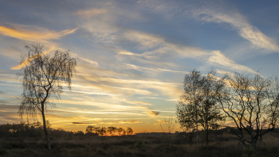 <i class='fa fa-user'></i> Martin Verbeeten |  Zonsondergang  <i class='fa fa-eye'> 16</i>   <i class='fa fa-comment-o'> 0</i>