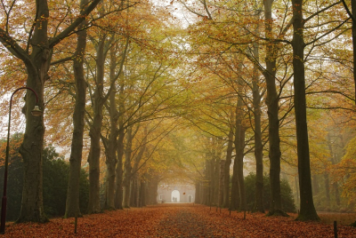 <i class='fa fa-user'></i> hesterb |  En enkel vallend blad  <i class='fa fa-eye'> 42</i>   <i class='fa fa-comment-o'> 1</i>