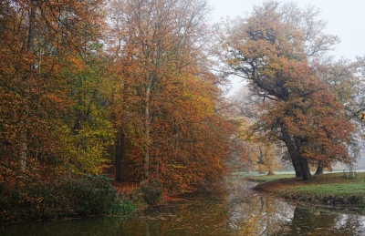 <i class='fa fa-user'></i> hesterb |  Beukenbosrand  <i class='fa fa-eye'> 50</i>   <i class='fa fa-comment-o'> 7</i>