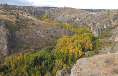 <i class='fa fa-user'></i> sieb |  Herfst in Spanje  <i class='fa fa-eye'> 51</i>  <i class='fa fa-thumbs-up'> 3</i>   <i class='fa fa-comment-o'> 7</i>