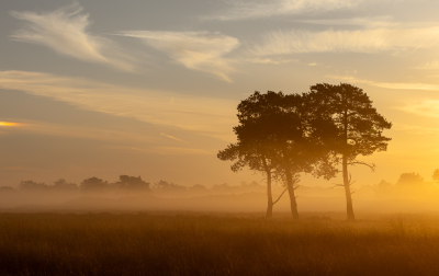 <i class='fa fa-user'></i> Pieter  LJ |  Ochtendgloren  <i class='fa fa-eye'> 27</i>  <i class='fa fa-thumbs-up'> 1</i>   <i class='fa fa-comment-o'> 3</i>