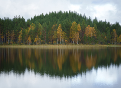 <i class='fa fa-user'></i> Jurgen Maassen |  Fins meer met spiegeling  <i class='fa fa-eye'> 36</i>  <i class='fa fa-thumbs-up'> 3</i>   <i class='fa fa-comment-o'> 4</i>