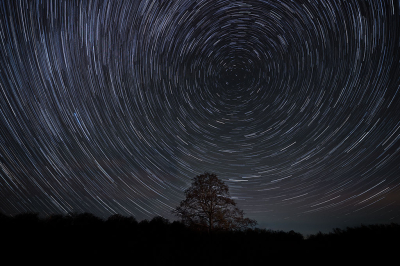 <i class='fa fa-user'></i> Eric Gibcus |  Sterrensporen  <i class='fa fa-eye'> 44</i>  <i class='fa fa-thumbs-up'> 7</i>   <i class='fa fa-comment-o'> 3</i>