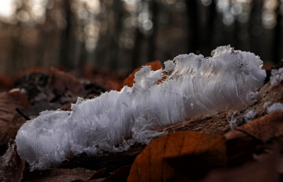 <i class='fa fa-user'></i> nelappelmelk |  IJshaar  <i class='fa fa-eye'> 54</i>  <i class='fa fa-thumbs-up'> 5</i>   <i class='fa fa-comment-o'> 9</i>