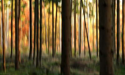 <i class='fa fa-user'></i>&nbsp;Nel R&nbsp;|  Zonlicht achter de bomen&nbsp; <i class='fa fa-eye'>&nbsp;66</i> &nbsp;<i class='fa fa-thumbs-up'>&nbsp;1</i> &nbsp; <i class='fa fa-comment-o'>&nbsp;3</i>