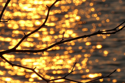 <i class='fa fa-user'></i> frbeuming |  Weerspiegeling  <i class='fa fa-eye'> 41</i>  <i class='fa fa-thumbs-up'> 4</i>   <i class='fa fa-comment-o'> 2</i>