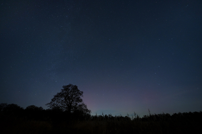 <i class='fa fa-user'></i> Eric Gibcus |  Noorderlicht  <i class='fa fa-eye'> 44</i>   <i class='fa fa-comment-o'> 1</i>