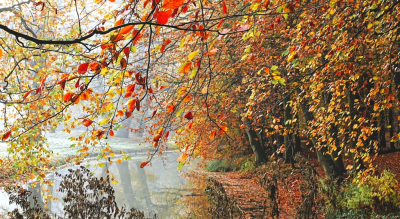 <i class='fa fa-user'></i> hesterb |  Novemberkleuren  <i class='fa fa-eye'> 36</i>   <i class='fa fa-comment-o'> 1</i>