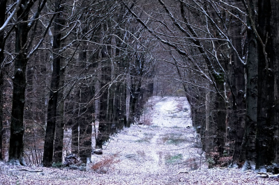 <i class='fa fa-user'></i> nelappelmelk |  De eerste sneeuw  <i class='fa fa-eye'> 33</i>  <i class='fa fa-thumbs-up'> 1</i>   <i class='fa fa-comment-o'> 2</i>