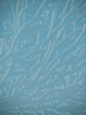 Het ijs zat op de schuine dakramen van onze hal. Het blauw is van de lucht.