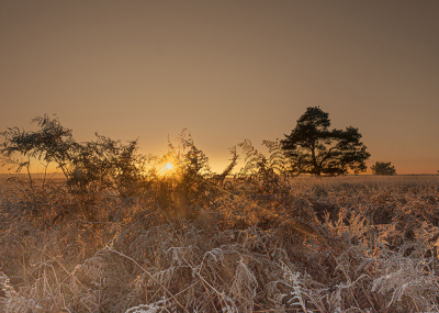 <i class='fa fa-user'></i> Tom |  Engbertsdijksvenen  <i class='fa fa-eye'> 36</i>   <i class='fa fa-comment-o'> 1</i>